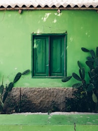 closed green wooden window