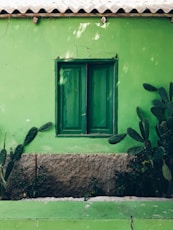 closed green wooden window