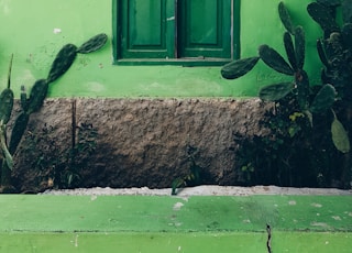 closed green wooden window