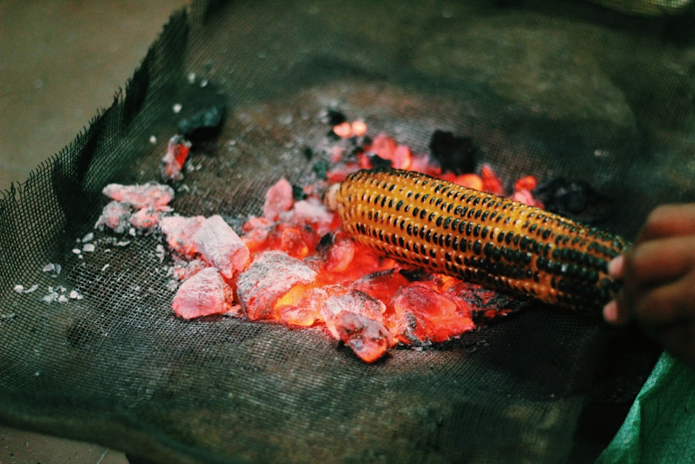 person grilling corn