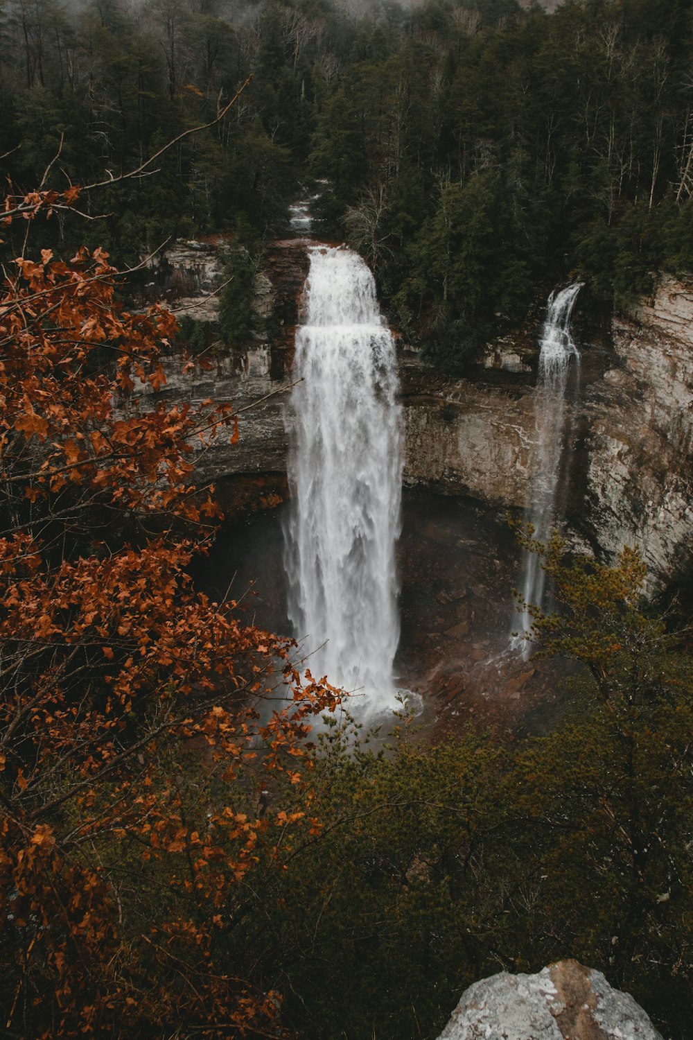 waterfalls flowing beside trees and rocks