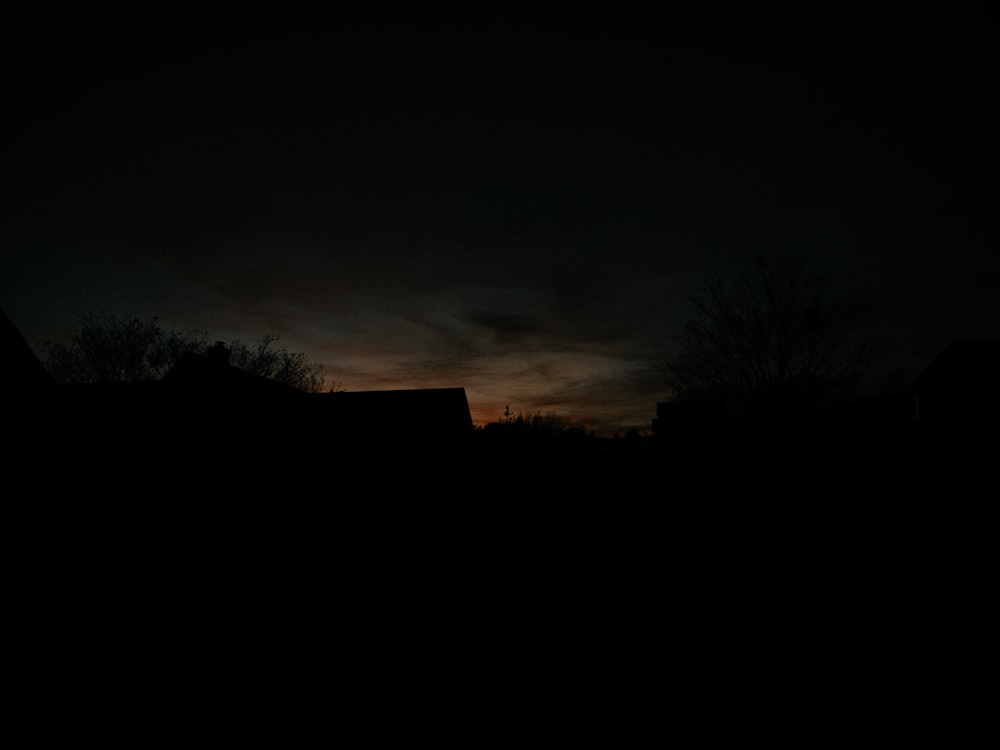 silhouette of trees during sunset