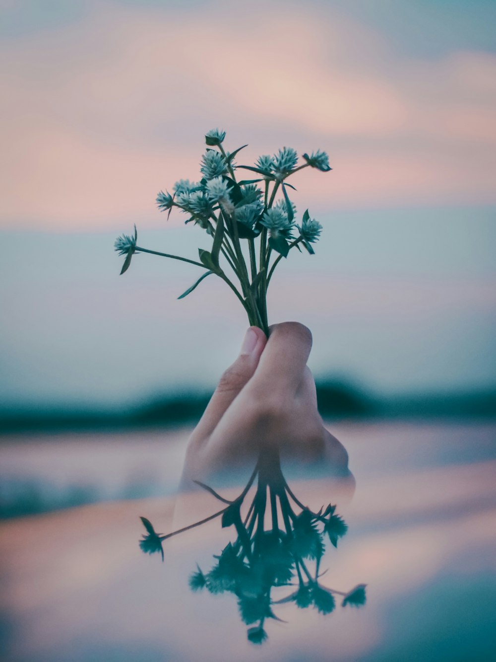 green leaf flowers