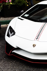 white Lamborghini