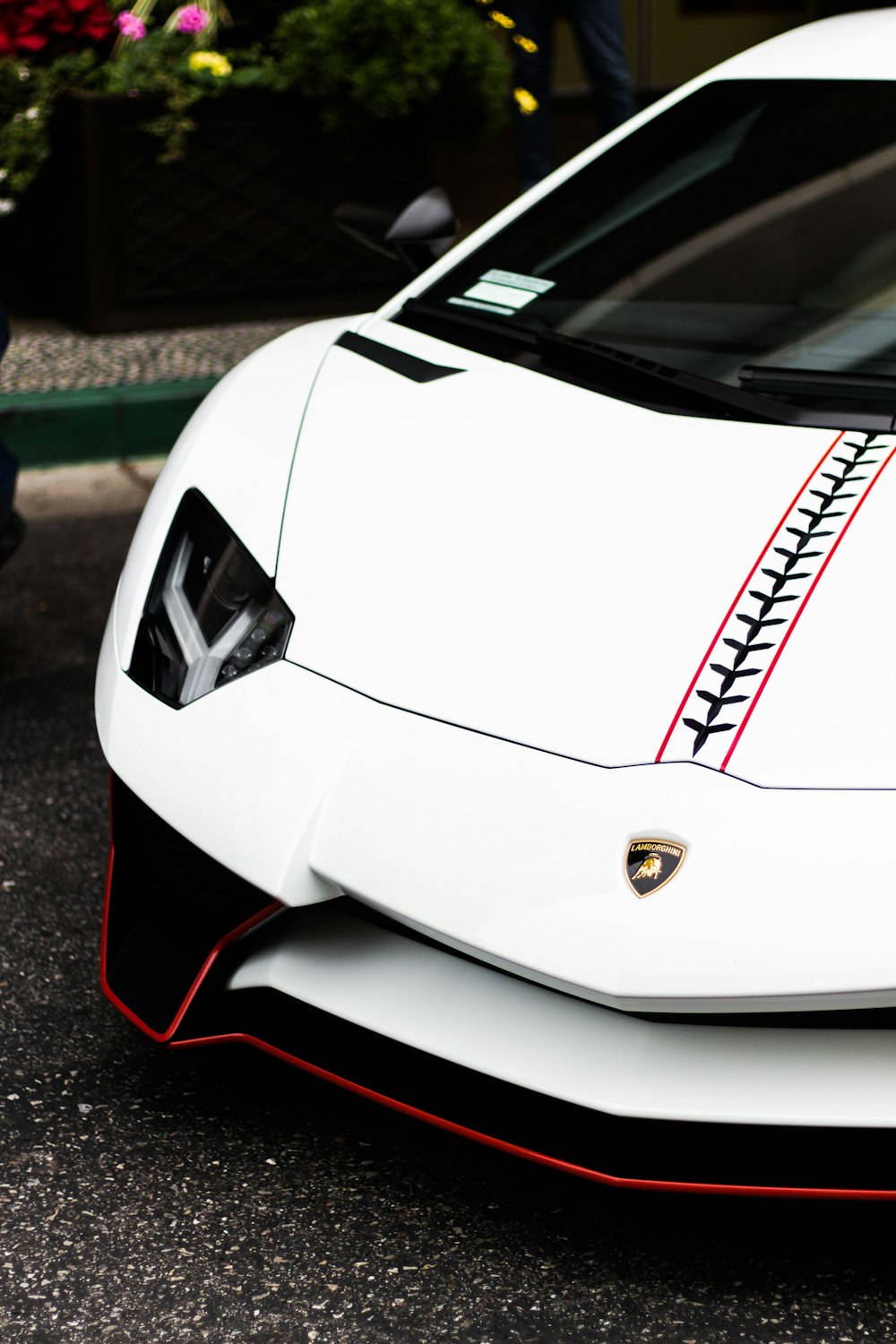 white Lamborghini