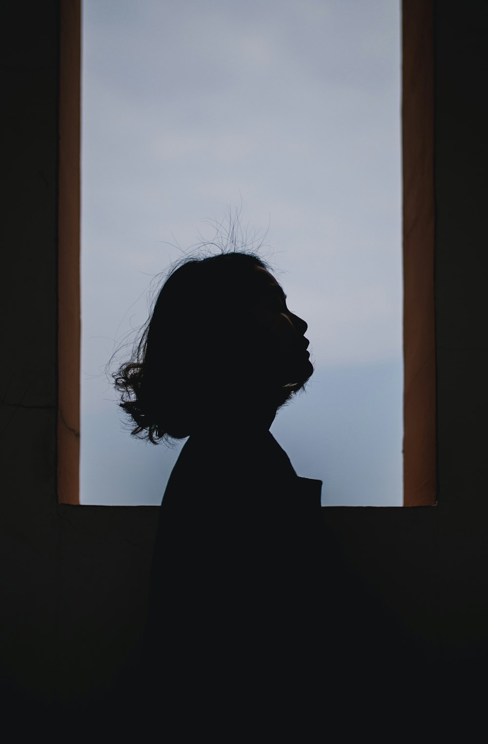 a silhouette of a person looking out of a window