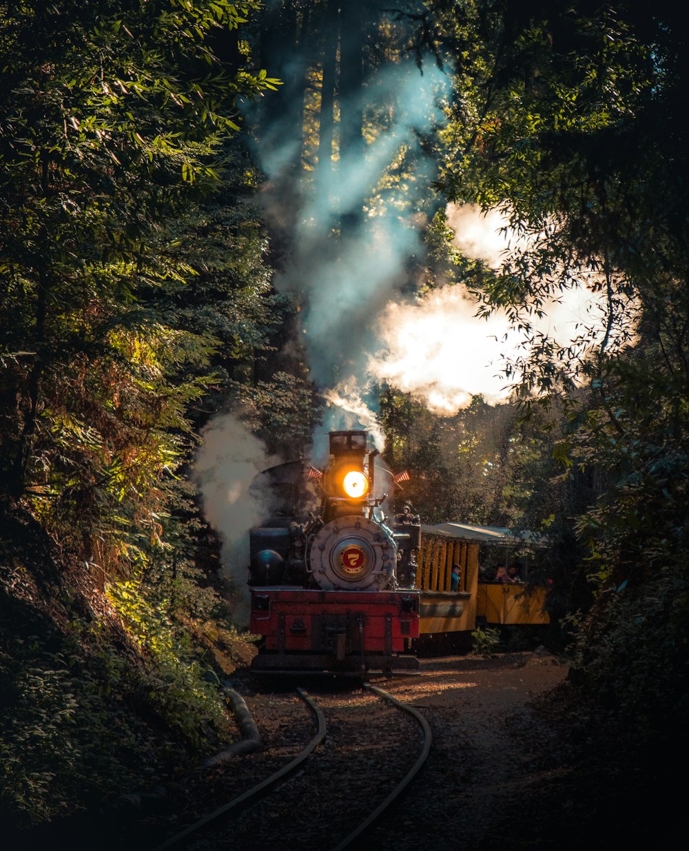 gray and red train running on rail in between trees at daytime