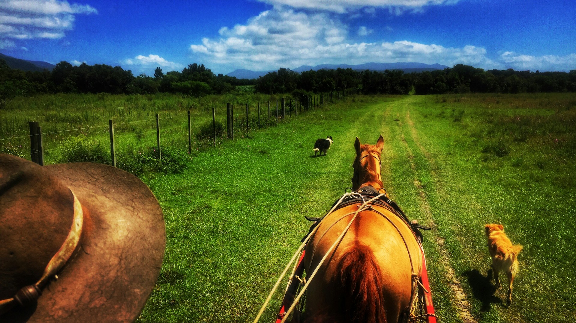 gray computer monitor