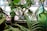 Various green plants sitting on a windowsill, including succulents and leafy stems in glass bottles. Natural light filters through the window, highlighting the freshness and organic texture of the leaves.