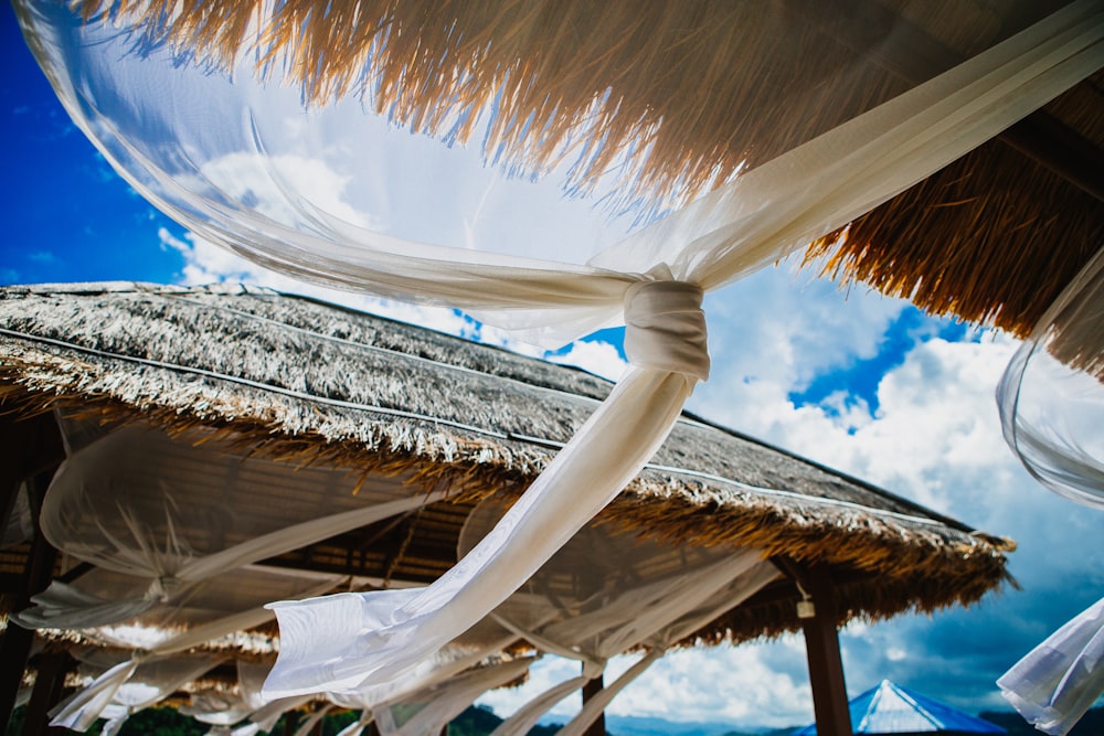 brown nipa hut