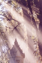 Sunlight filtering through trees onto a sacred altar adorned with symbolic objects.