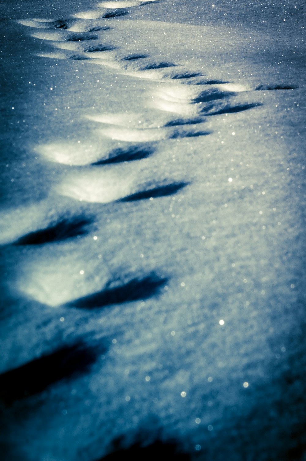 a long line of footprints in the snow