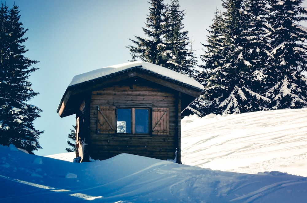 Maison en bois brun à côté des arbres pendant l’hiver