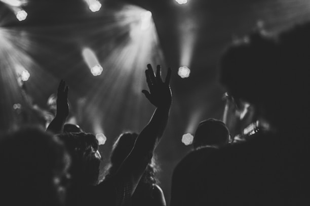 a crowd of people at a concert with their hands in the air