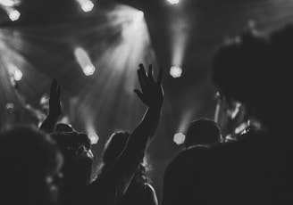 a crowd of people at a concert with their hands in the air