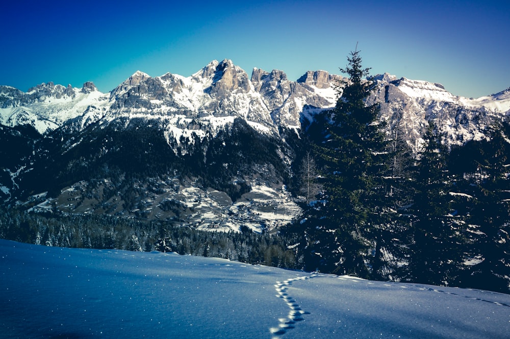 風景写真で見る昼間の雪に覆われた山脈
