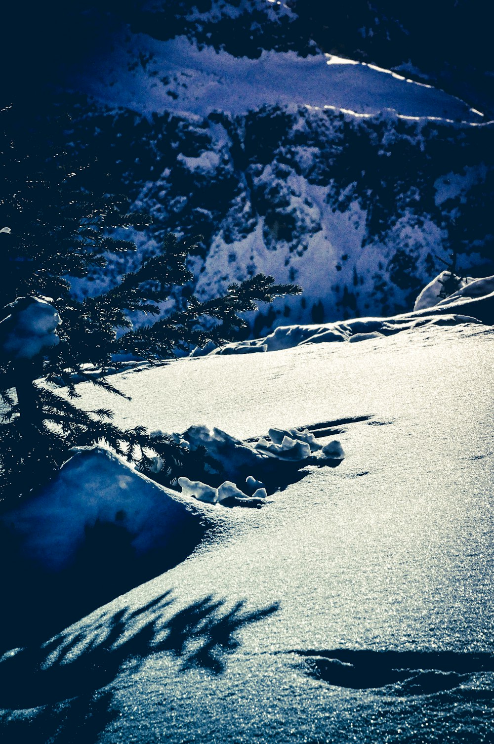 雪に覆われた地面