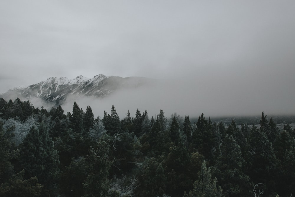 photography foggy mountain
