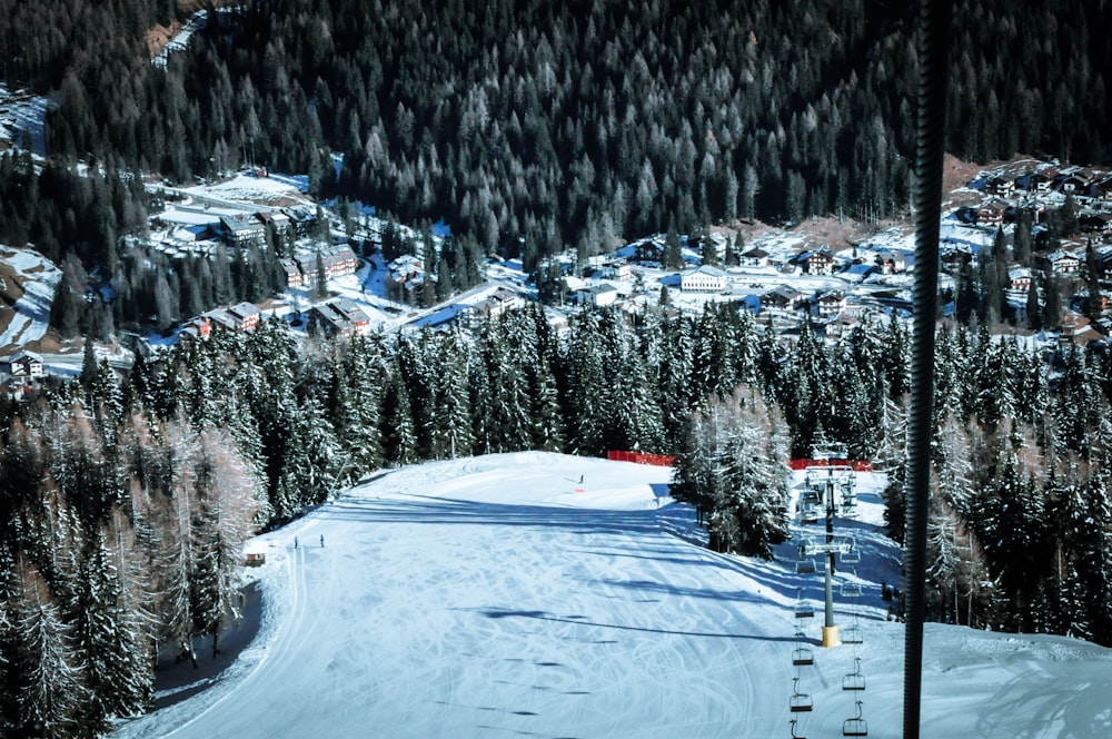 landscape photography of pines surrounded with snow