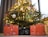 A festive Christmas tree adorned with colorful ornaments and glowing lights is prominently displayed. Below the tree, several boxed camera lenses and equipment from Sony are neatly arranged, suggesting a theme of photography gifts or presents.