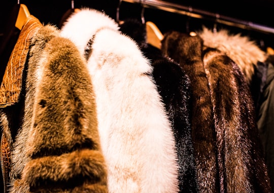 assorted mink coat in Chelsea United States