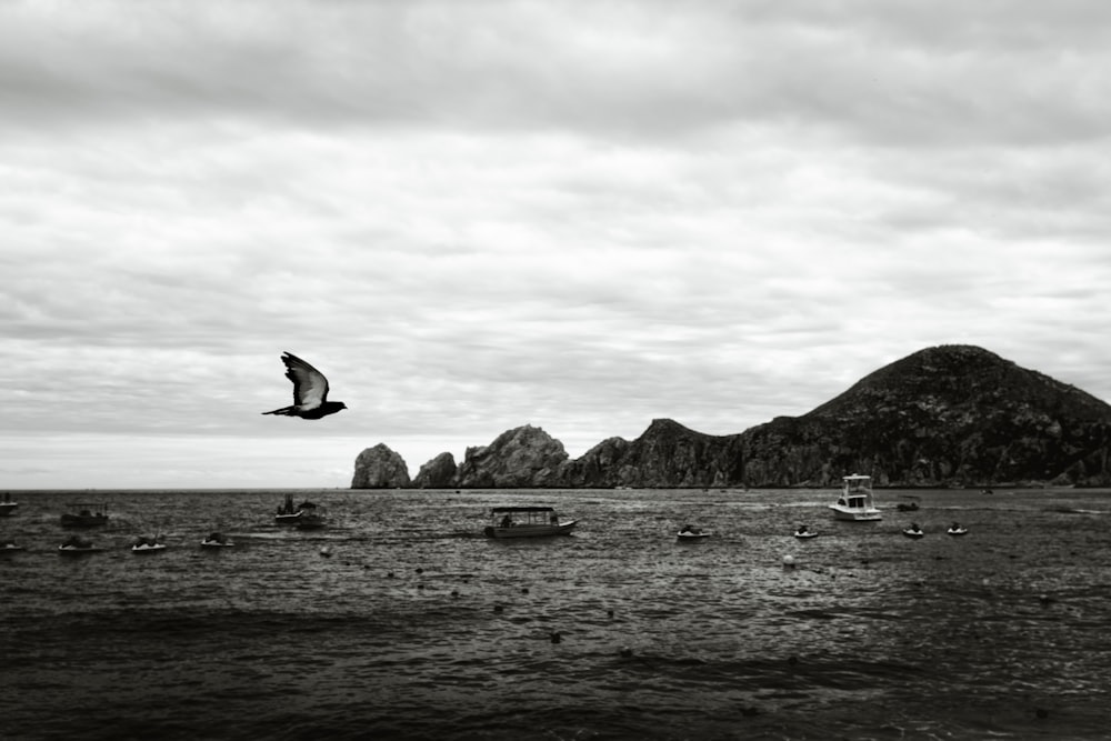 grayscale photo of island