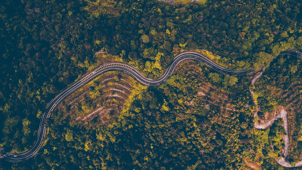 Fotografía aérea de una carretera rodeada de árboles verdes