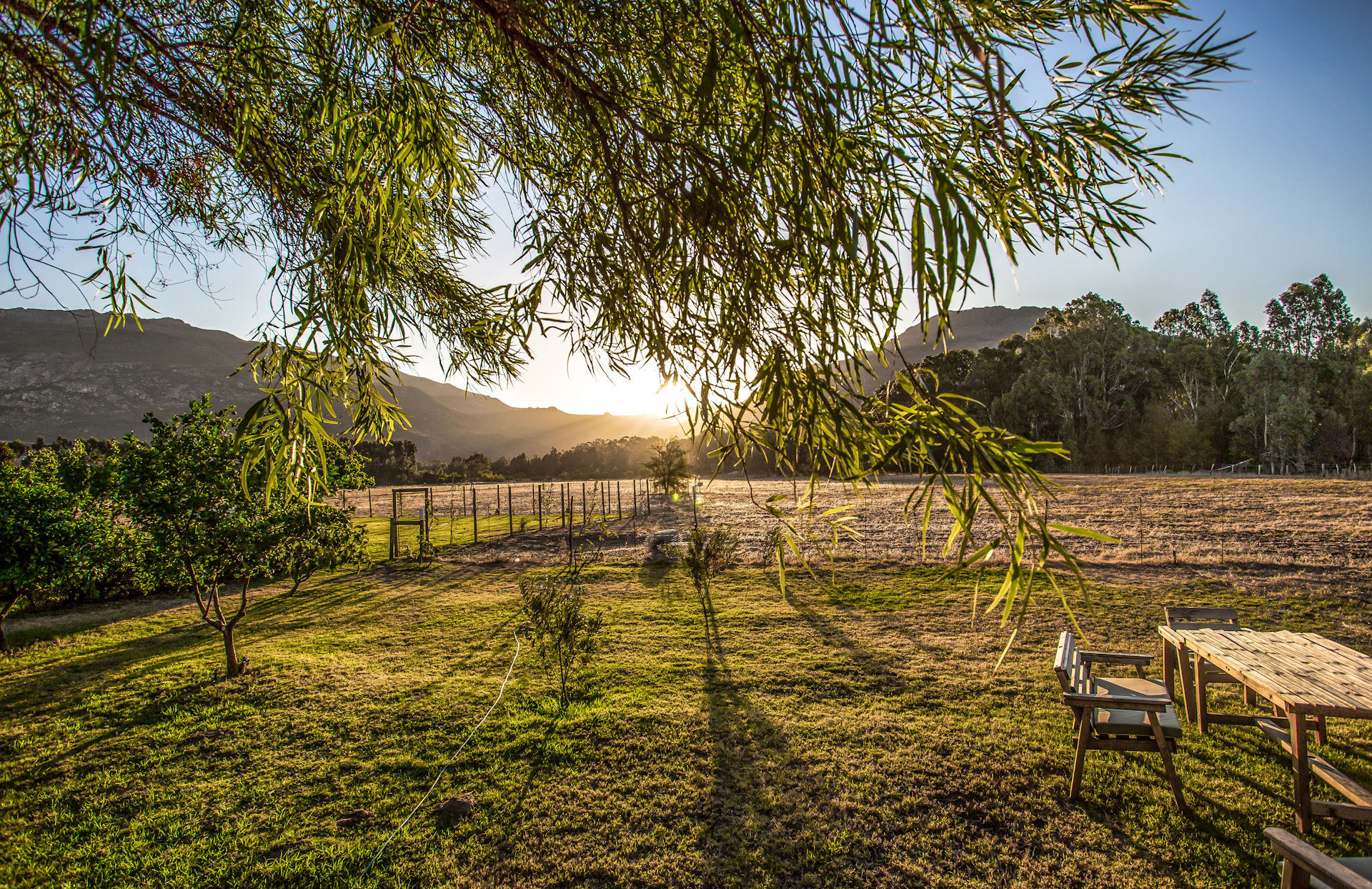 A peaceful garden terrace at sunset with rustic wooden furniture, surrounded by lush greenery and the gentle hills of the balaton-felvidék in the background.