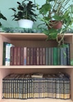 A serene photo of spiritual and holistic books arranged neatly with green plant accents.