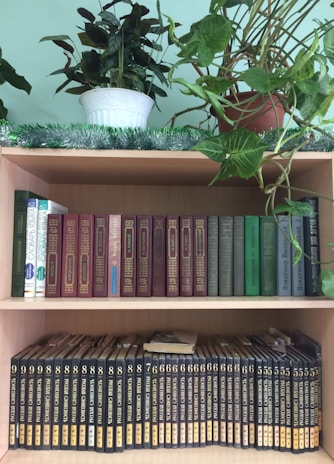 A collection of wellness books and plants on a wooden shelf.