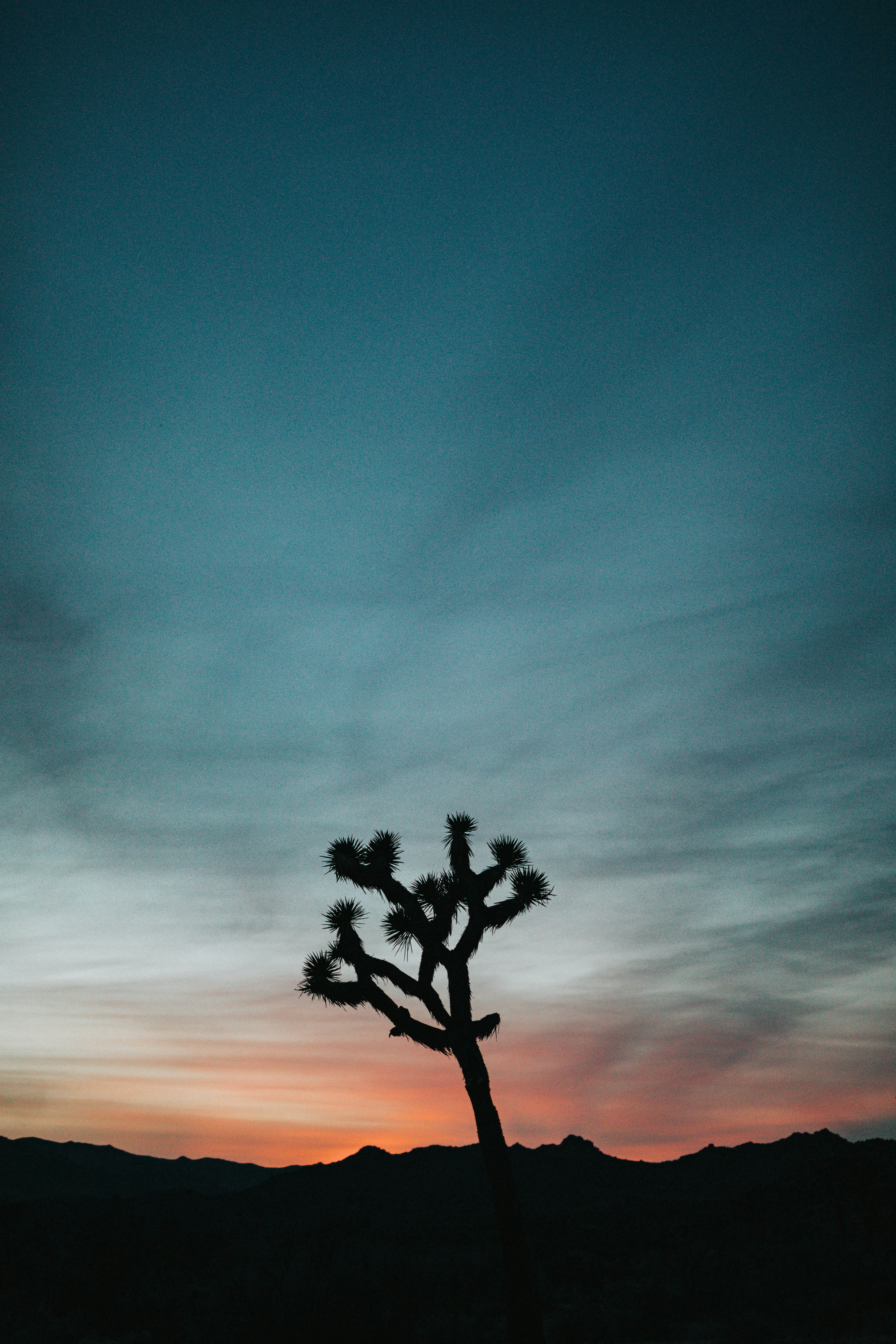 Photo by nate_dumlao