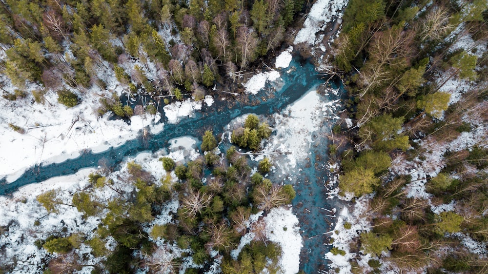 top view of frosted river surrounded with trees during daytime