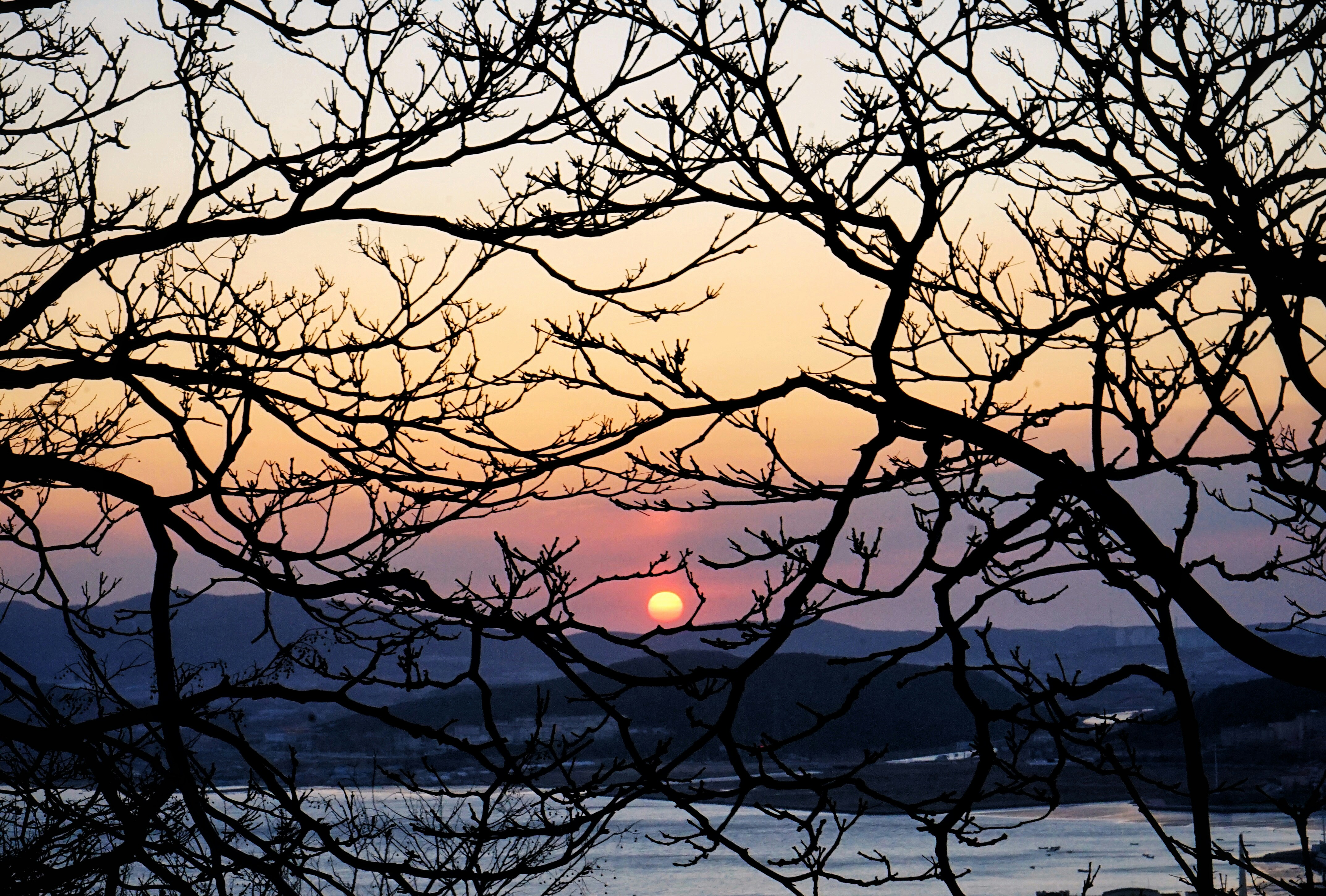 Sunset Lino Cut Print