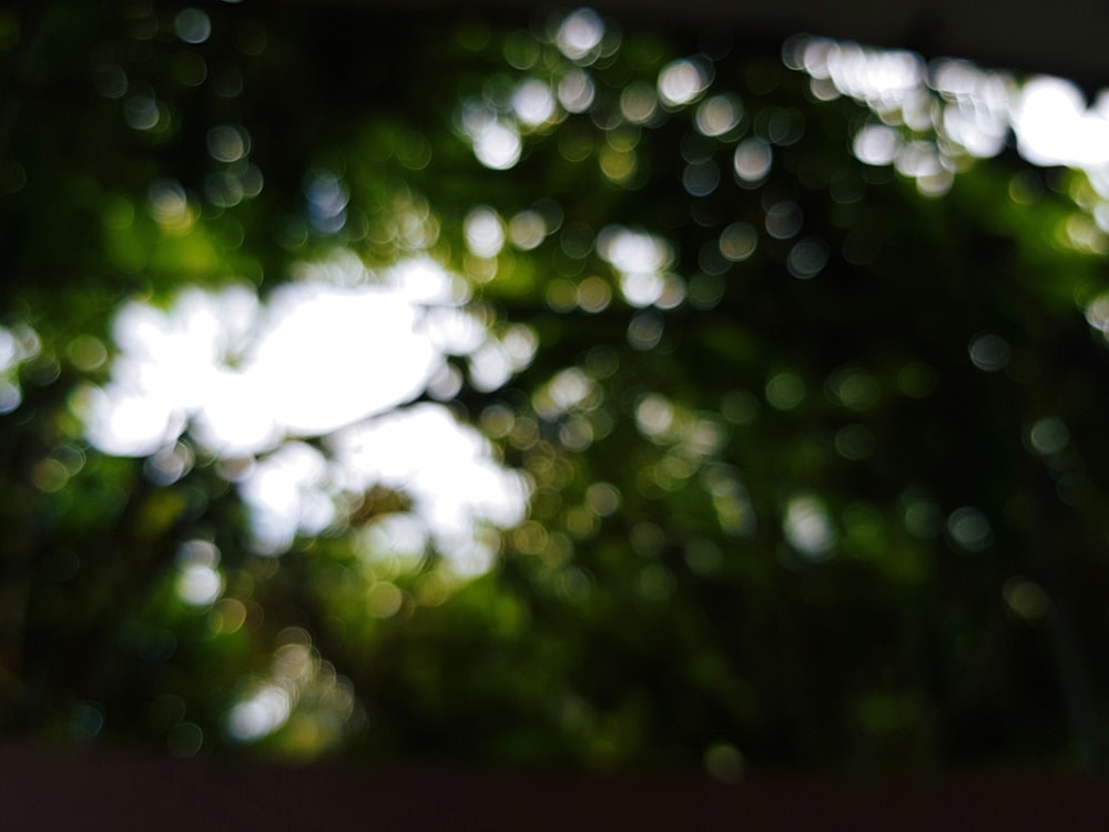 Una foto borrosa de un árbol con el cielo en el fondo