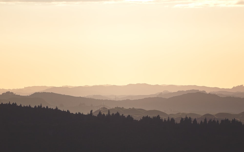 mountains covered with fog