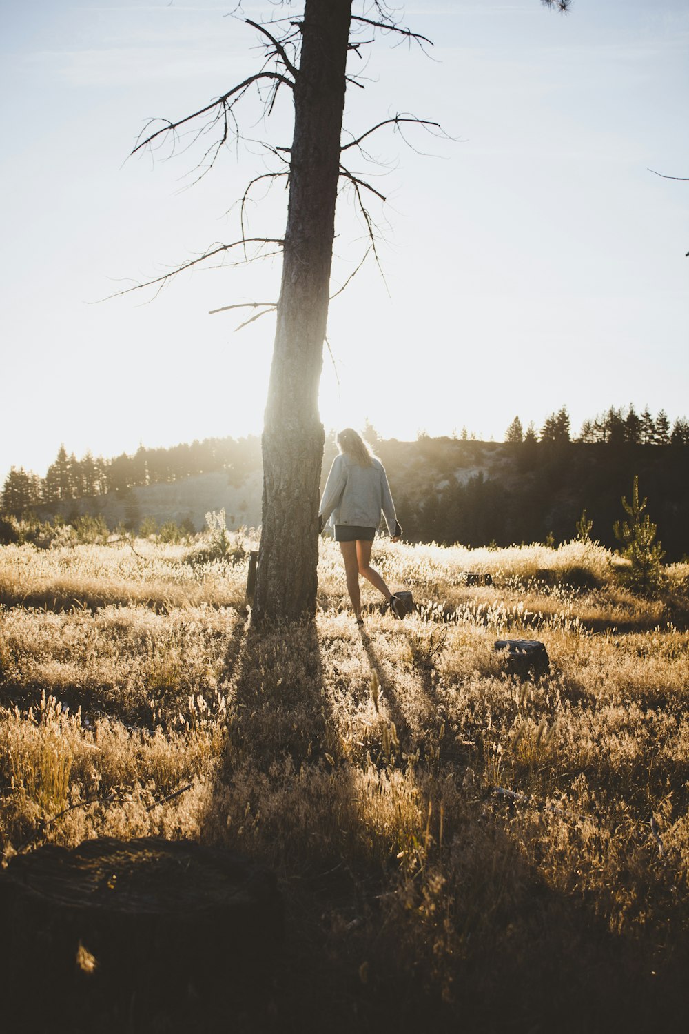 woman walking around tree during daytime