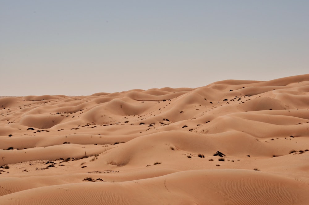 landscape shot of desert