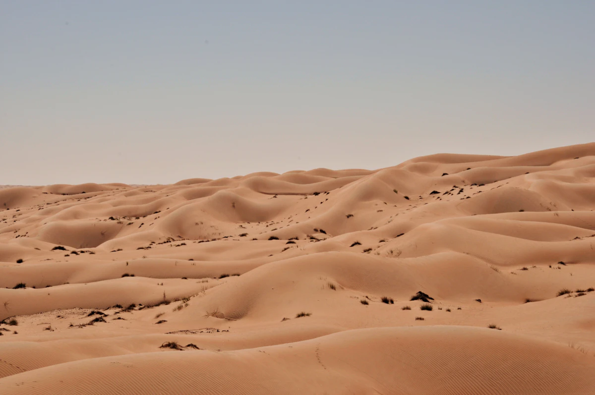 Oman experience