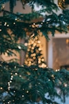 Christmas tree with string lights