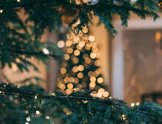 Christmas tree with string lights