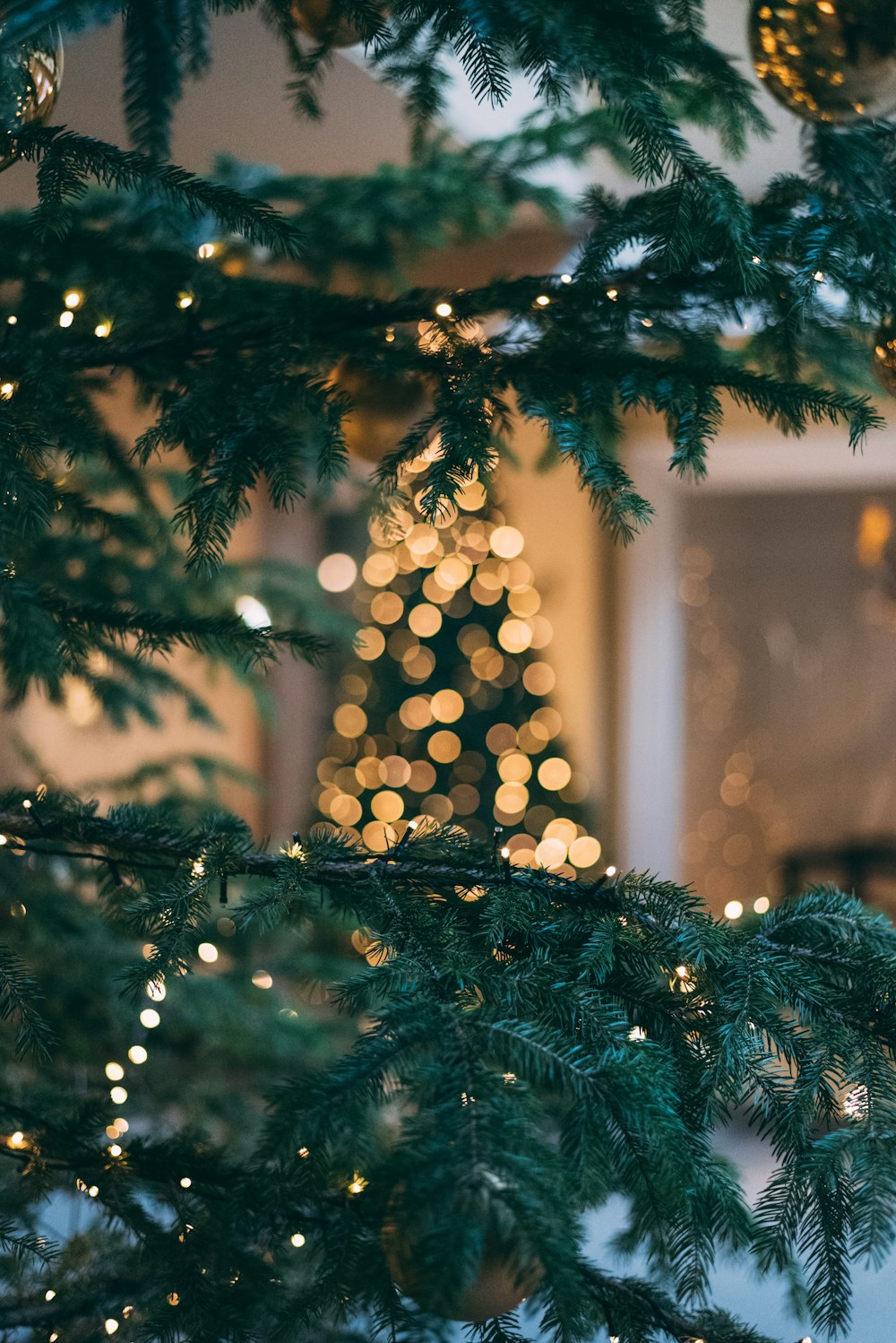 Árbol de Navidad con luces de cadena
