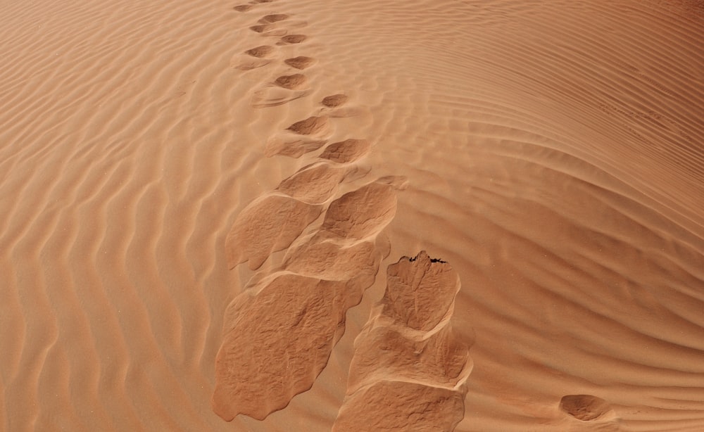 a long line of footprints in the sand