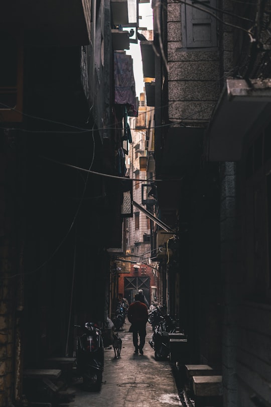 man walking beside dog between buildings in Amritsar India