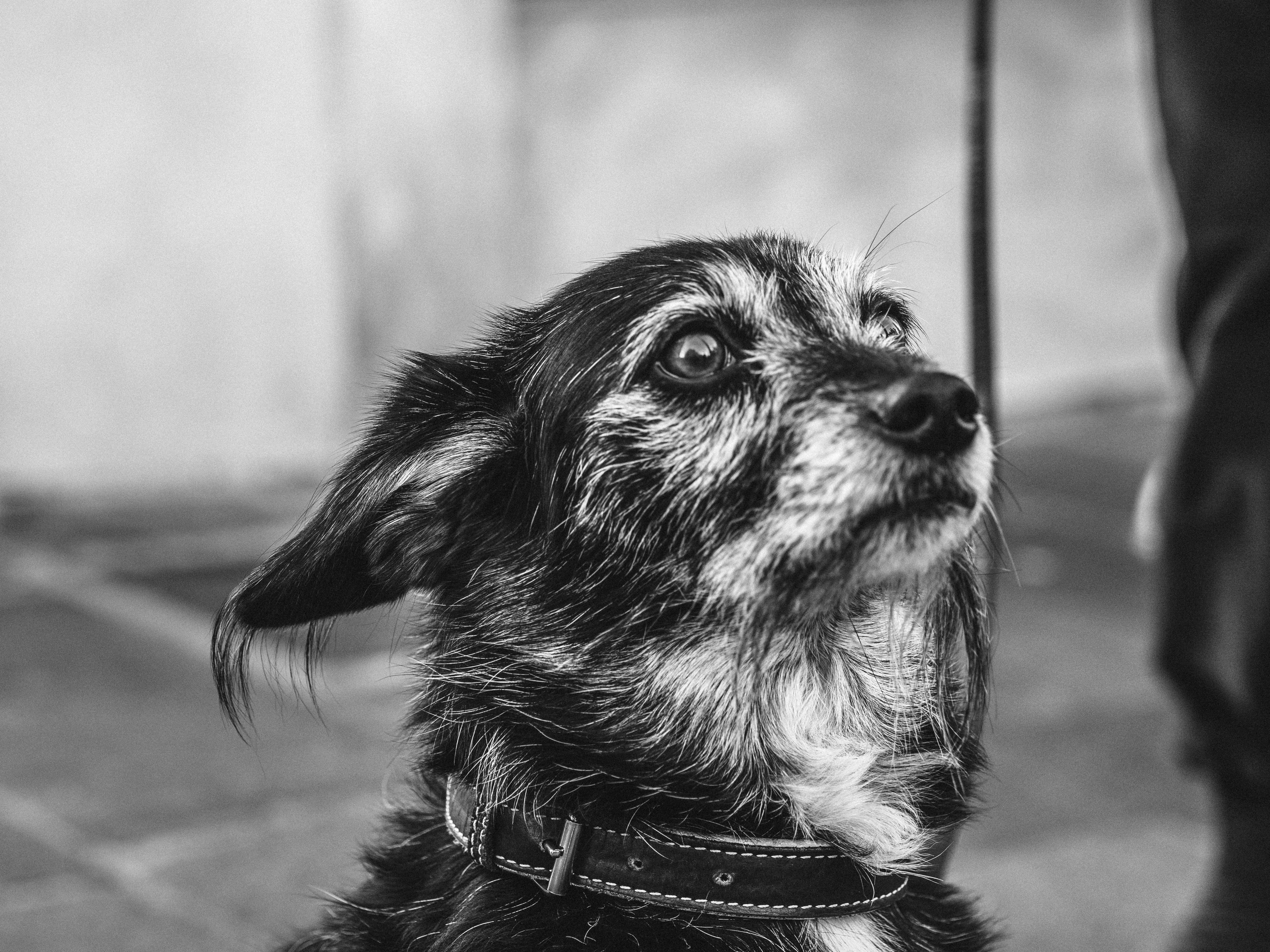 Photo by pinkstratdesign_italy