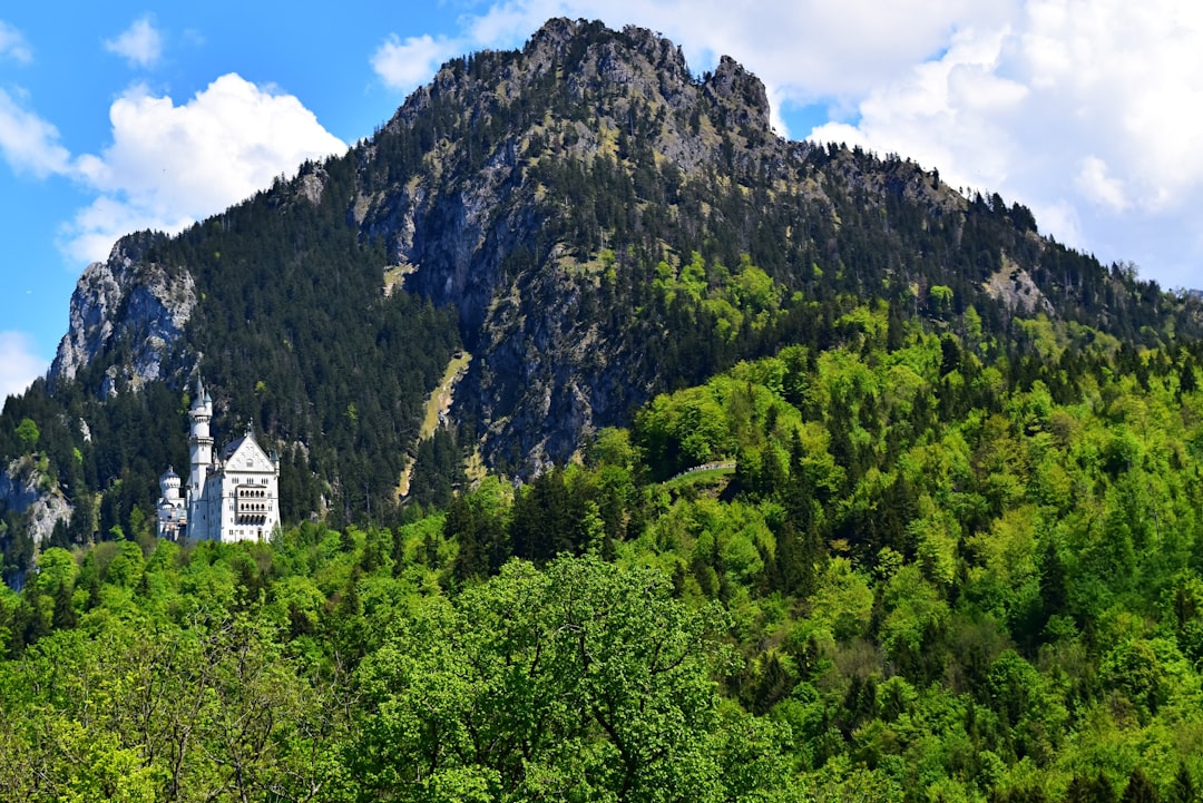 Hill station photo spot Füssen Hohenschwangau Castle