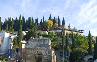 A hillside is adorned with a mix of lush green trees, including tall cypress trees, and several buildings with varied architectural styles, including what appears to be ruins in the foreground. The scene has a clear, bright sky that enhances the vibrant greens and earthy tones of the landscape.
