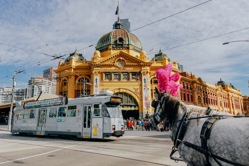 Business travel and meetings in Australia