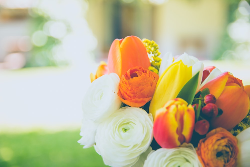 Photographie en gros plan de fleurs de pétales blancs et oranges