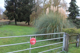 A secure fenced plot of land in Bambilor with a visible official title deed