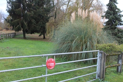 A fenced area with a metal gate displays a red sign indicating 'Private, Passage Interdit'. The scene includes green grass, a variety of tall grasses, and large evergreen trees in the background. The lush vegetation suggests a natural or park-like setting.